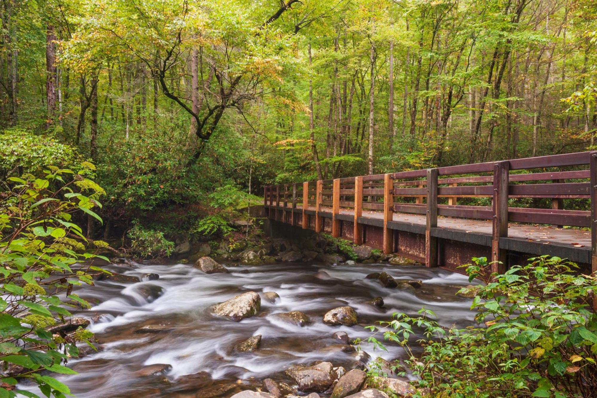 Ober Hideaway, Hot Tub, Wifi, 1089 Free Tickets Each Paid Day, Dollywood And More Gatlinburg Exteriör bild